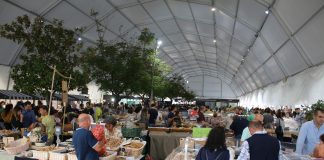 Torres Novas: Feira Nacional dos Frutos Secos abre inscrições para expositores