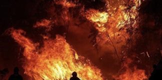 Incêndios: Mais de 1.000 operacionais combatem fogo em Odemira