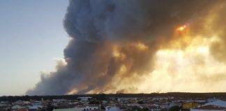 Pelo menos 26 corpos encontrados numa área incendiada na Grécia