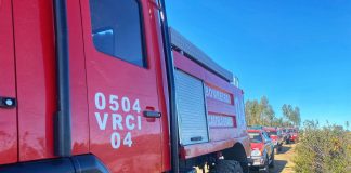 Incêndios: Mais de 500 bombeiros combatem fogo em Castelo Branco dificultado pelo vento