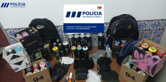 Entroncamento: Quatro homens detidos em flagrante a grafitar comboio