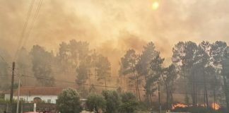Incêndios: Fogo em Ourém com uma frente ativa mobiliza mais de 190 operacionais