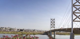 Óbito/Papa: Carlos Moedas quer mudar nome do Parque Tejo para Parque Papa Francisco