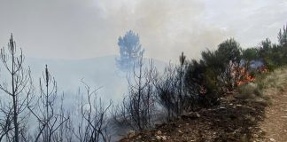 Incêndios: Fogo na Covilhã em fase de resolução desde as 19:20 – câmara
