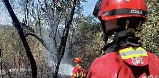 Incêndios: Duzentos bombeiros combatiam às 16:00 um fogo em Pombal com duas frentes