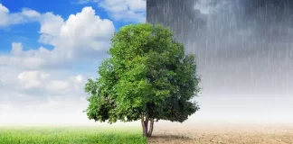 Amnistia Internacional diz que jovens envolvidos em ação climática estão a liderar o caminho