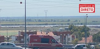 Circulação ferroviária cortada em Vila Franca de Xira após atropelamento mortal