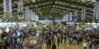Construções com milhões de peças Lego em exposição nas Caldas da Rainha