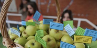 Município de Leiria promove Semana da Alimentação entre 16 e 20 de outubro