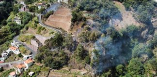 Incêndios: Chamas em Câmara de Lobos estão a descer para zona mais urbana