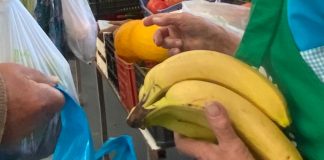 PJ apreende 351kg de cocaína proveniente da América Latina escondida em caixas de banana
