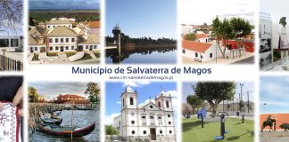 Salvaterra de Magos aprova orçamento de 21 ME para 2024