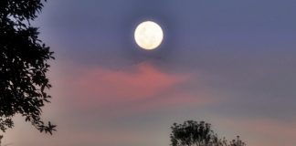 Robô com que Japão volta a tentar estrear-se na superfície da Lua entrou hoje em órbita