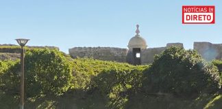 Supremo agrava para 14 anos e nove meses pena de prisão a jovem que matou irmã em Peniche