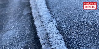 Câmara de Leiria aciona plano de contingência para o frio