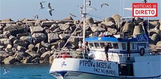 ONG apresenta queixa contra Portugal, Espanha e França por não controlarem frotas de pesca