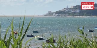 IPMA estuda crescimento excessivo de algas na Lagoa de Óbidos