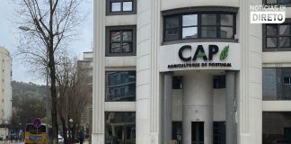 UE/Agricultores: Governo paga totalidade dos cortes até março – CAP