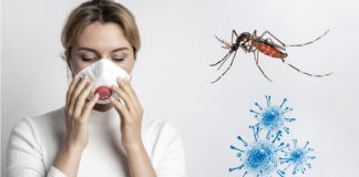 Rio de Janeiro decreta estado de emergência em saúde por causa da dengue