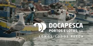 Docapesca concretiza recorde de 11,2 ME de investimento em 2023
