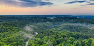 Alunos da Amazónia partilham em Ourém experiências sobre ambiente