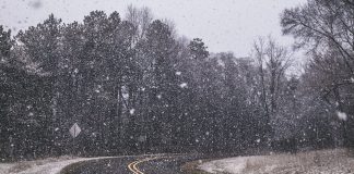 Neve encerra estradas de acesso à Torre na serra da Estrela