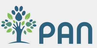 Eleições: PAN lamenta que PR receba partidos antes de concluído o apuramento eleitoral