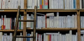 Universidade de Coimbra estuda círculos de pedras na Antártida em formação há 10 mil anos
