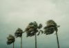 ONU alerta para El Niño muito intenso e risco de novos extremos climáticos