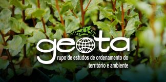 GEOTA critica estratégia do Plano Ferroviário Nacional