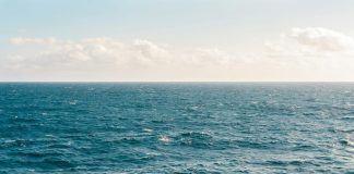 Portugal falha metas europeias de proteção de área marinhas