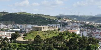 Torres Vedras quer incluir migrantes no plano de vacinação