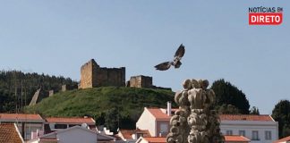 Homem em prisão preventiva por violência doméstica sobre o pai em Alcobaça