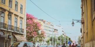 Câmara de Lisboa garante respostas para imigrantes sem abrigo nos Anjos