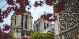 Missa volta a ouvir-se em Notre Dame de Paris depois de cinco anos de ‘silêncio’