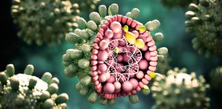 África representa 63% das novas infeções de hepatite B no mundo