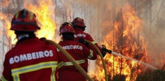 Incêndios: Proteção Civil deve mais de meio milhão de euros aos bombeiros