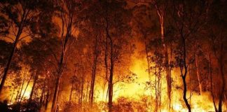 Trabalhos da Comissão Sub-regional de Gestão de Fogos da Região de Leiria foram suspensos