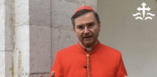 Entrevista: Cardeal Américo Aguiar admite sentir “medo” pelo “peso” de escolher sucessor de Francisco