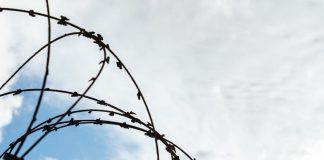 Morreu refém em Gaza com nacionalidade portuguesa