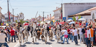 Tradicional Entrada de Toiros levou milhares de pessoas à Chamusca