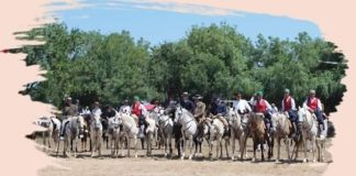 Dezenas de Campinos e várias Casas Agrícolas na Festa da Amizade em Benavente