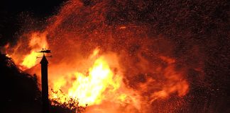 Incêndios florestais extremos duplicaram nos últimos 20 anos em todo o mundo