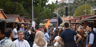 Alma do Vinho’2024: Syro, Nininho Vaz Maia, Mariza e Ivandro são cabeças de cartaz