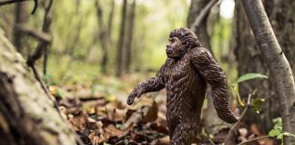 Arqueólogas portuguesas cozinham para compreenderem melhor dieta de Neandertais