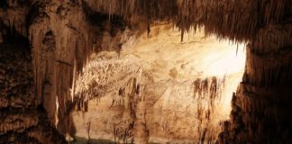 Expedição inédita em Portugal leva investigadores a gruta em Ourém durante três dias