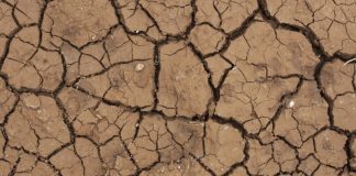 Seca: Governo aprova investimento de 5,2 ME no Algarve