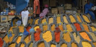 Mais de 1,5 milhão de pessoas em Moçambique em crise ou emergência alimentar