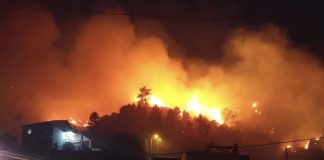 Incêndios/Madeira: Continente ofereceu ajuda e Governo Regional recusou inicialmente