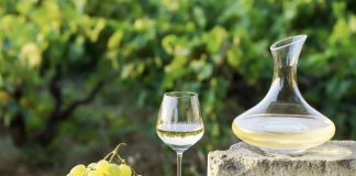 Ministro da Agricultura não quer regiões “umas contra as outras” por destilação do vinho